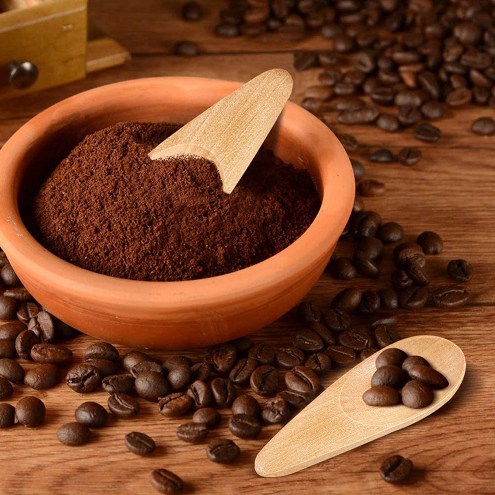 A04G-10 Pieces Mini Wooden Spo - Coffee Tea Etc review and price