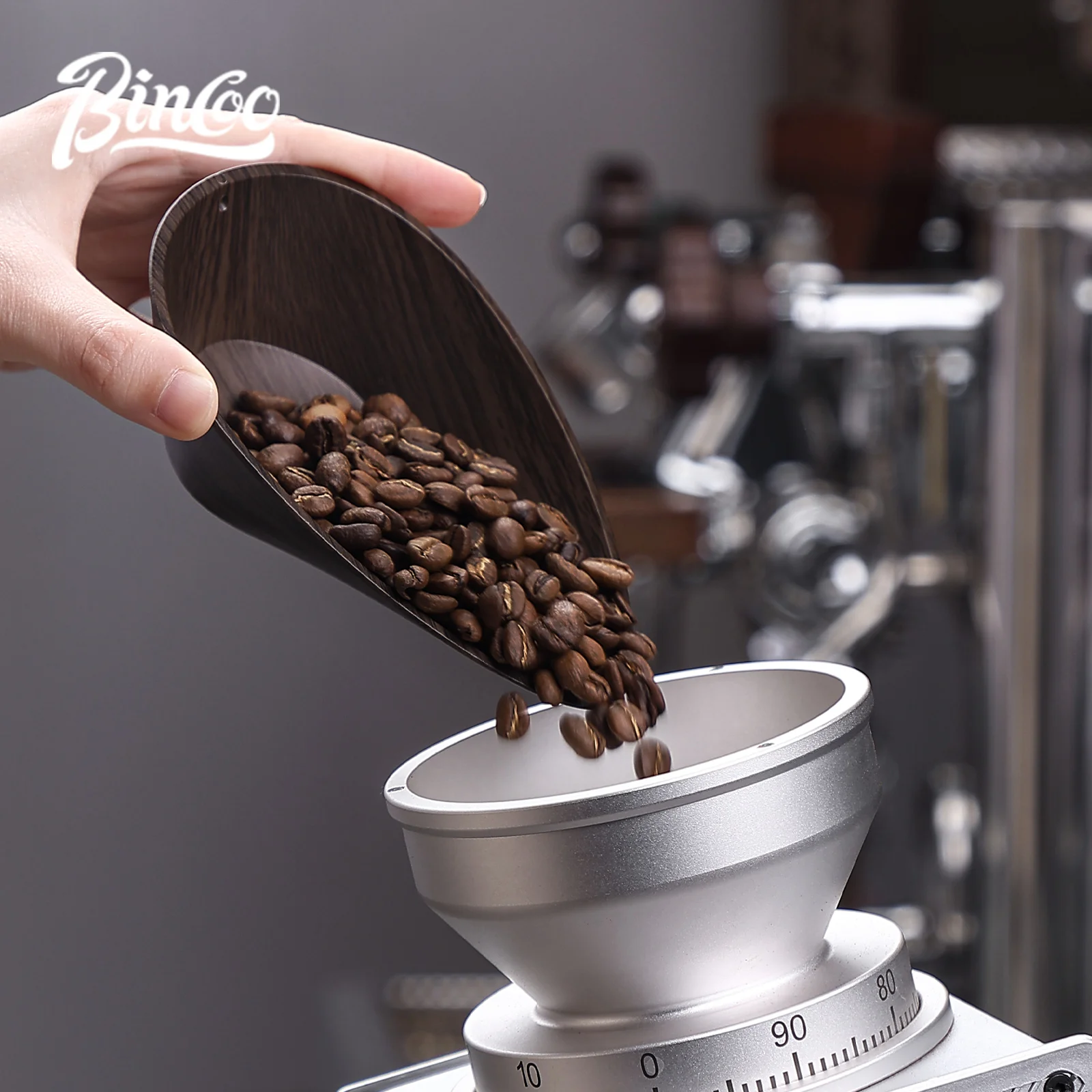BINCOO Coffee Beans Dose Trays - Coffee Tea Beans review and price
