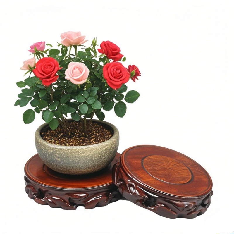 Wooden Plant Saucer & Flower P - Coffee Tea Garden review and price