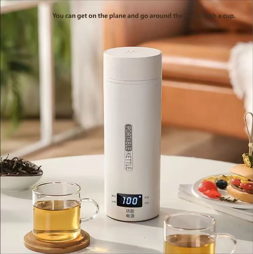 HOMEFISH 450ML Electric Kettle - Coffee Tea Menu review and price