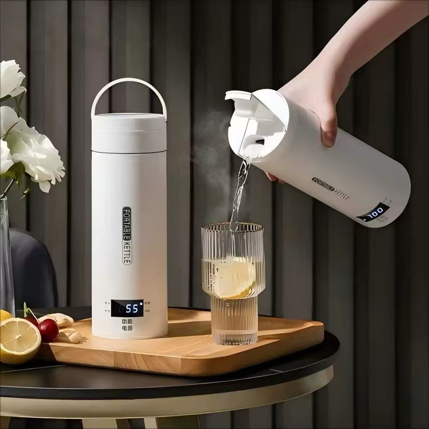 HOMEFISH 450ML Electric Kettle - Coffee Tea Menu review and price